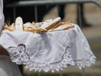 Foto cavalcata 7